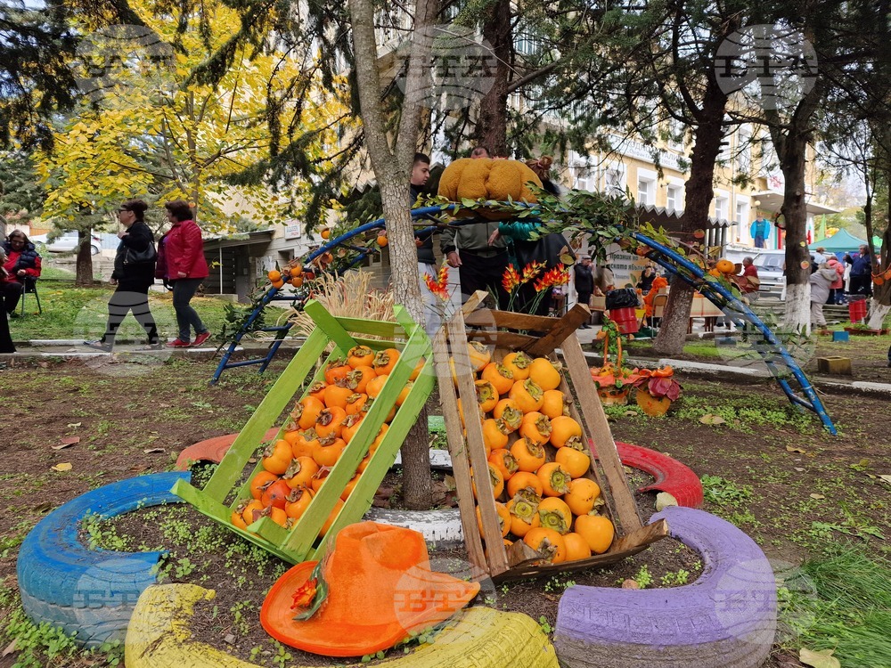 Село Хрищени - празник на райската ябълка