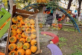 Село Хрищени - празник на райската ябълка