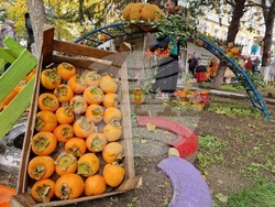 Село Хрищени - празник на райската ябълка