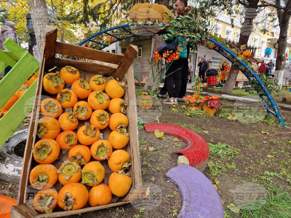 Село Хрищени - празник на райската ябълка