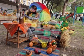 Село Хрищени - празник на райската ябълка