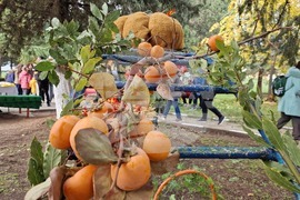 Село Хрищени - празник на райската ябълка