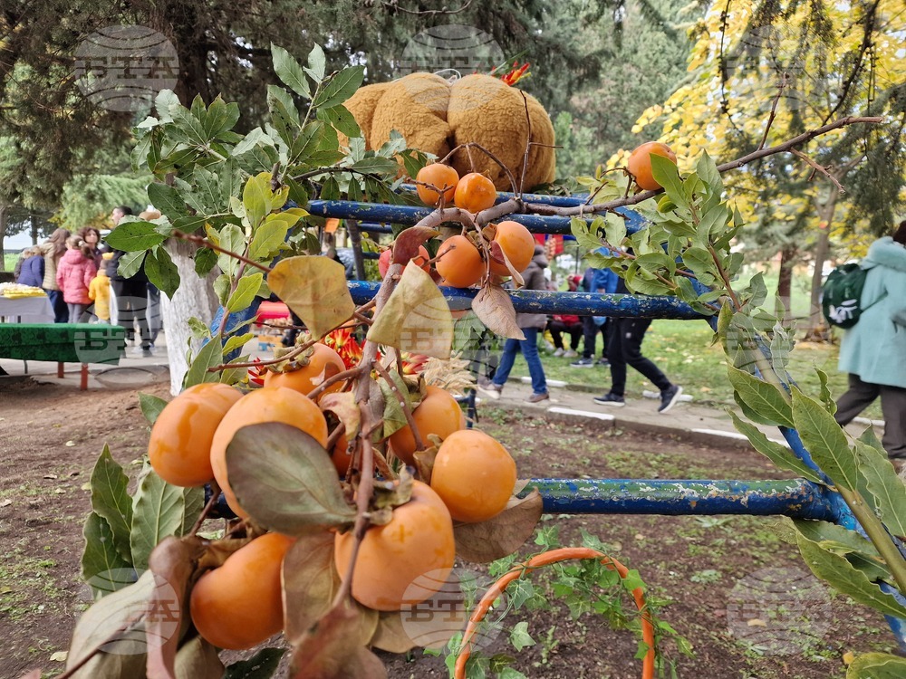 Село Хрищени - празник на райската ябълка