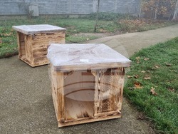 Търговище - общински приют - инициатива