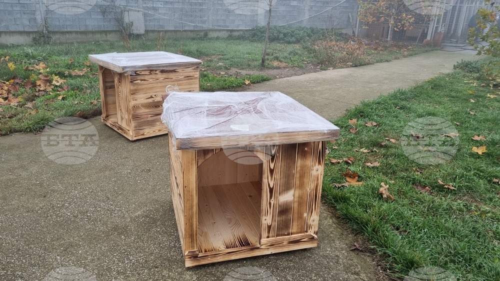 Търговище - общински приют - инициатива