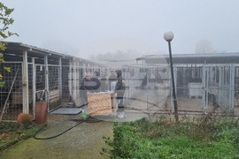 Търговище - общински приют - инициатива