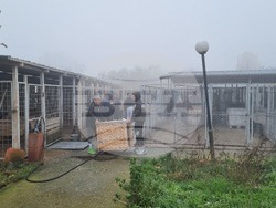 Търговище - общински приют - инициатива