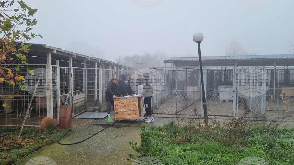 Търговище - общински приют - инициатива