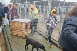 Търговище - общински приют - инициатива