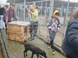 Търговище - общински приют - инициатива