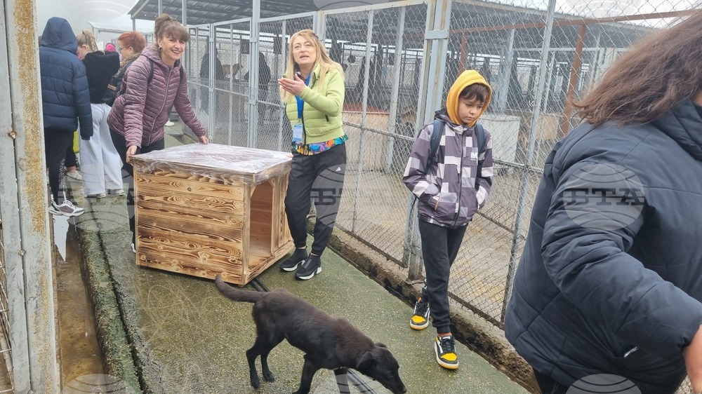 Търговище - общински приют - инициатива