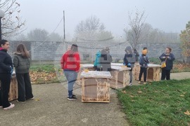 Търговище - общински приют - инициатива