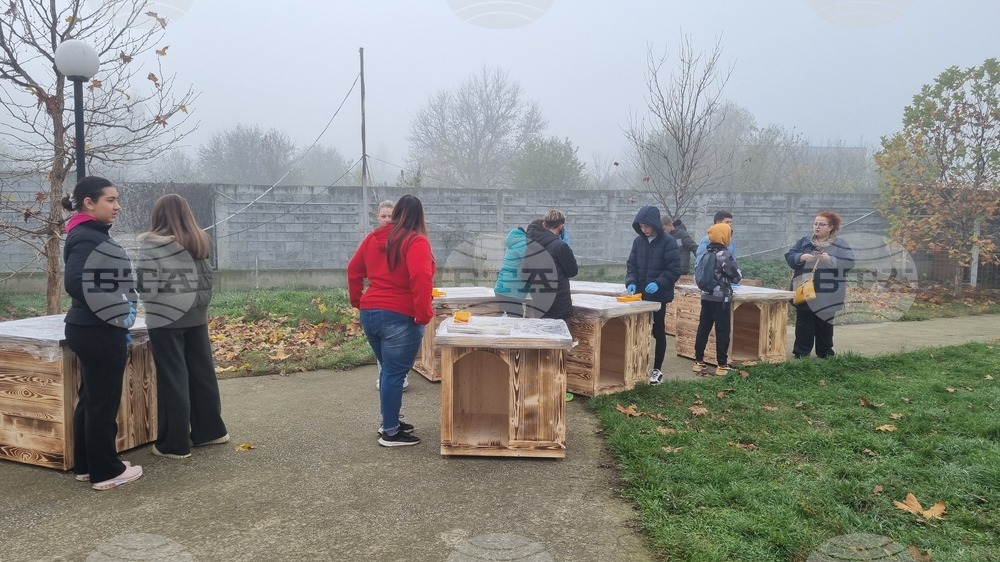 Търговище - общински приют - инициатива