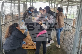 Търговище - общински приют - инициатива