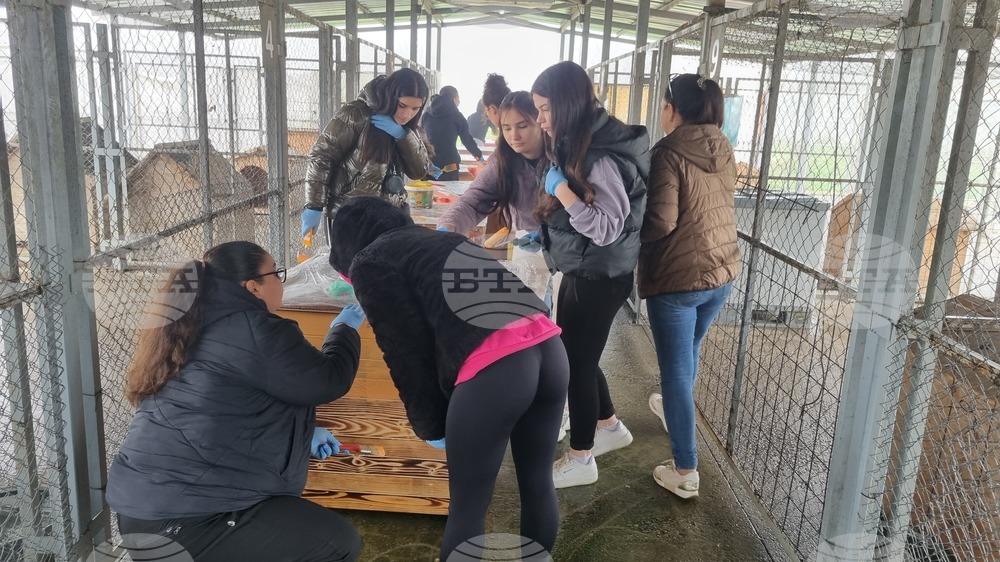 Търговище - общински приют - инициатива