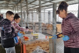 Търговище - общински приют - инициатива