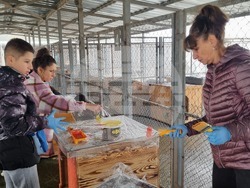 Търговище - общински приют - инициатива