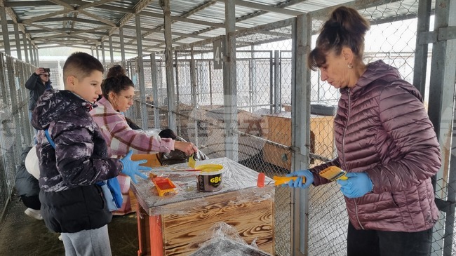 Търговище - общински приют - инициатива