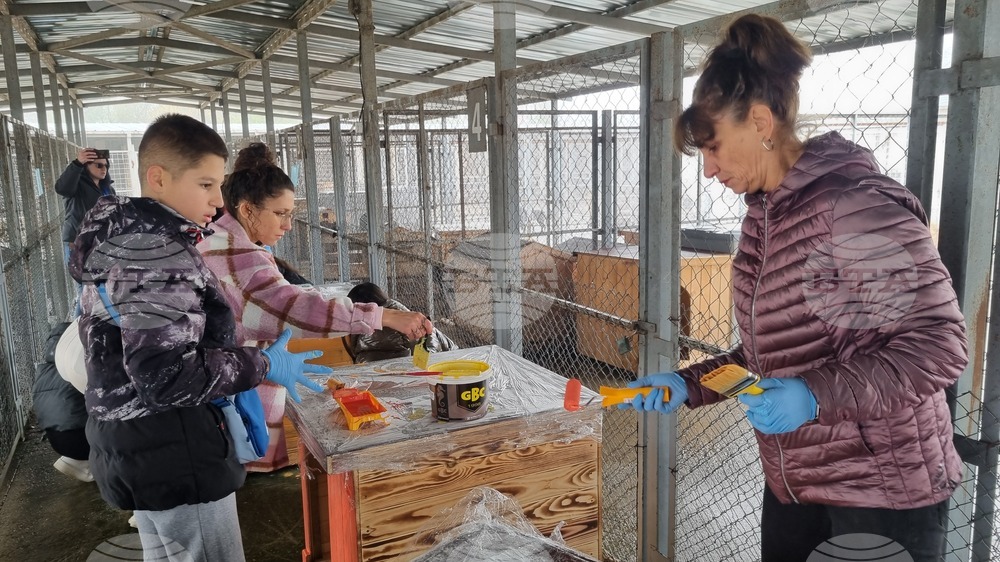 Търговище - общински приют - инициатива