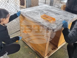 Търговище - общински приют - инициатива