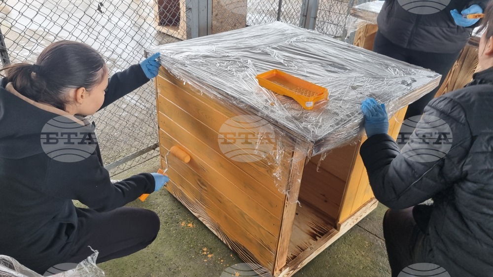 Търговище - общински приют - инициатива