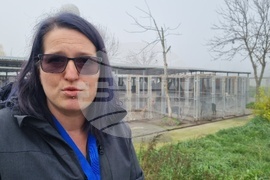 Търговище - общински приют - инициатива