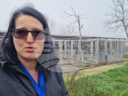 Търговище - общински приют - инициатива