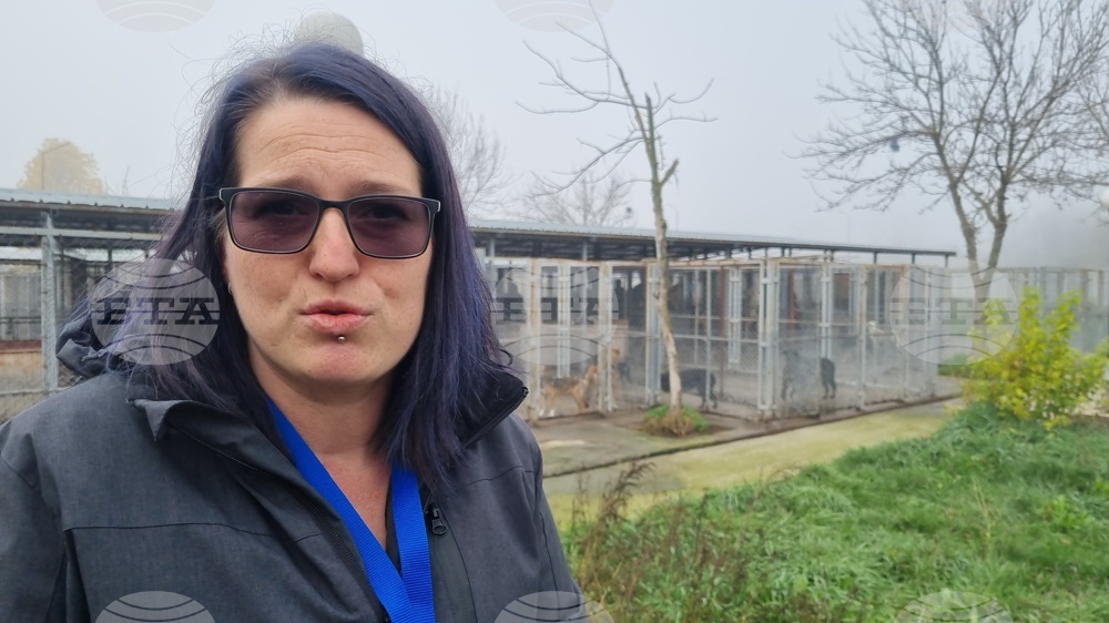 Търговище - общински приют - инициатива