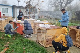 Търговище - общински приют - инициатива