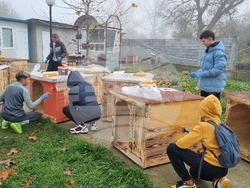 Търговище - общински приют - инициатива