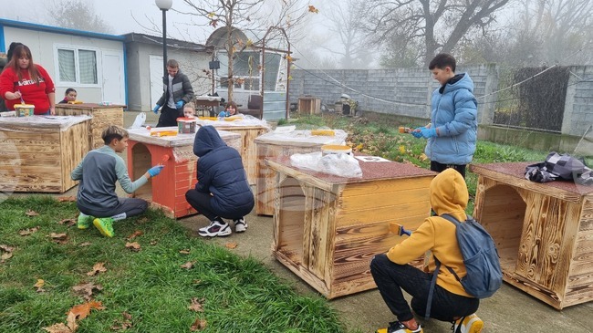Ученици от Търговище боядисваха къщички на кучета в Общинския приют в инициатива на Младежкия център 