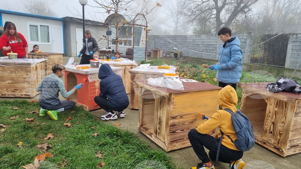 Ученици от Търговище боядисваха къщички на кучета в Общинския приют в инициатива на Младежкия център 