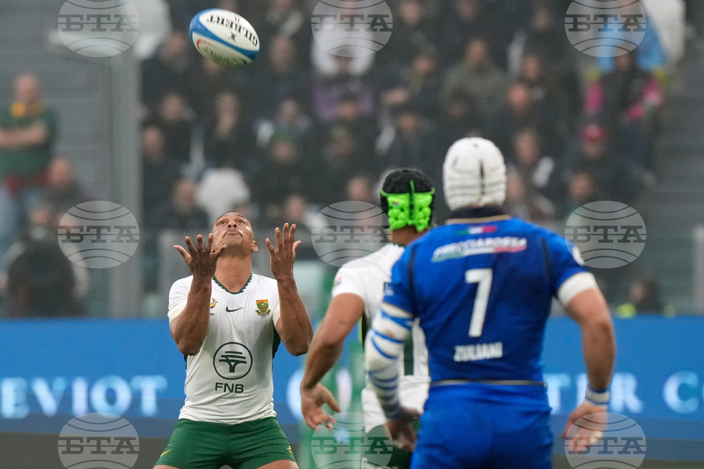 Italy South Africa Rugby