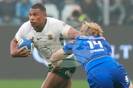 Italy South Africa Rugby
