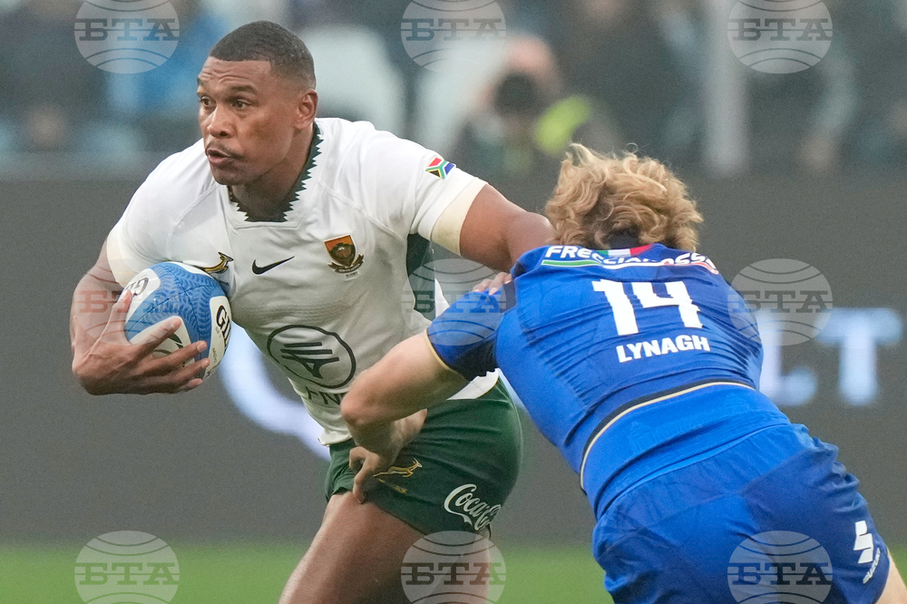 Italy South Africa Rugby