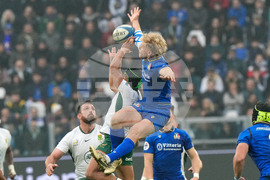 Italy South Africa Rugby