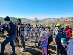 Бабица - „Гората на спомените“- залесяване