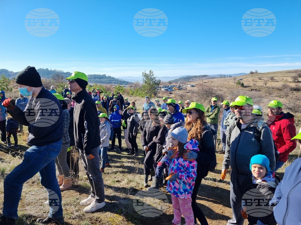 Бабица - „Гората на спомените“- залесяване
