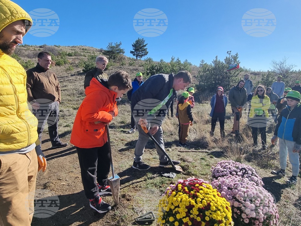 Бабица - „Гората на спомените“- залесяване