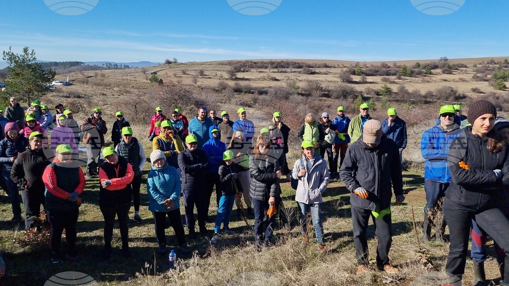 Бабица - „Гората на спомените“- залесяване