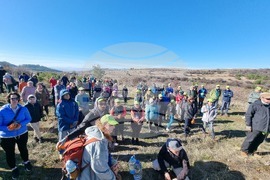 Бабица - „Гората на спомените“- залесяване