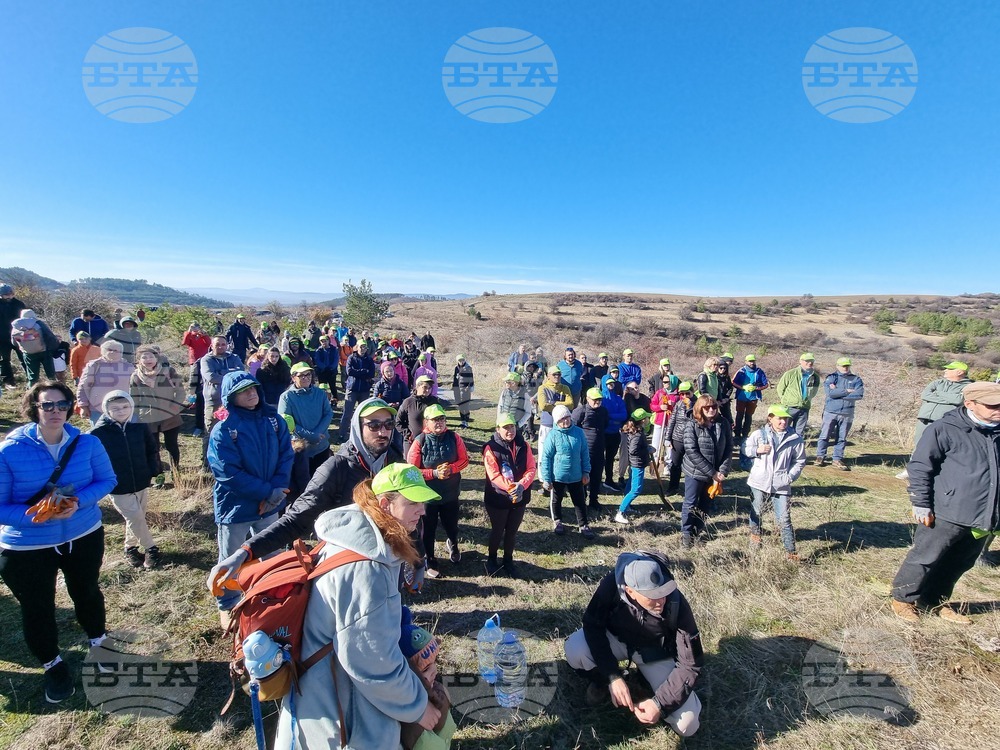 Бабица - „Гората на спомените“- залесяване