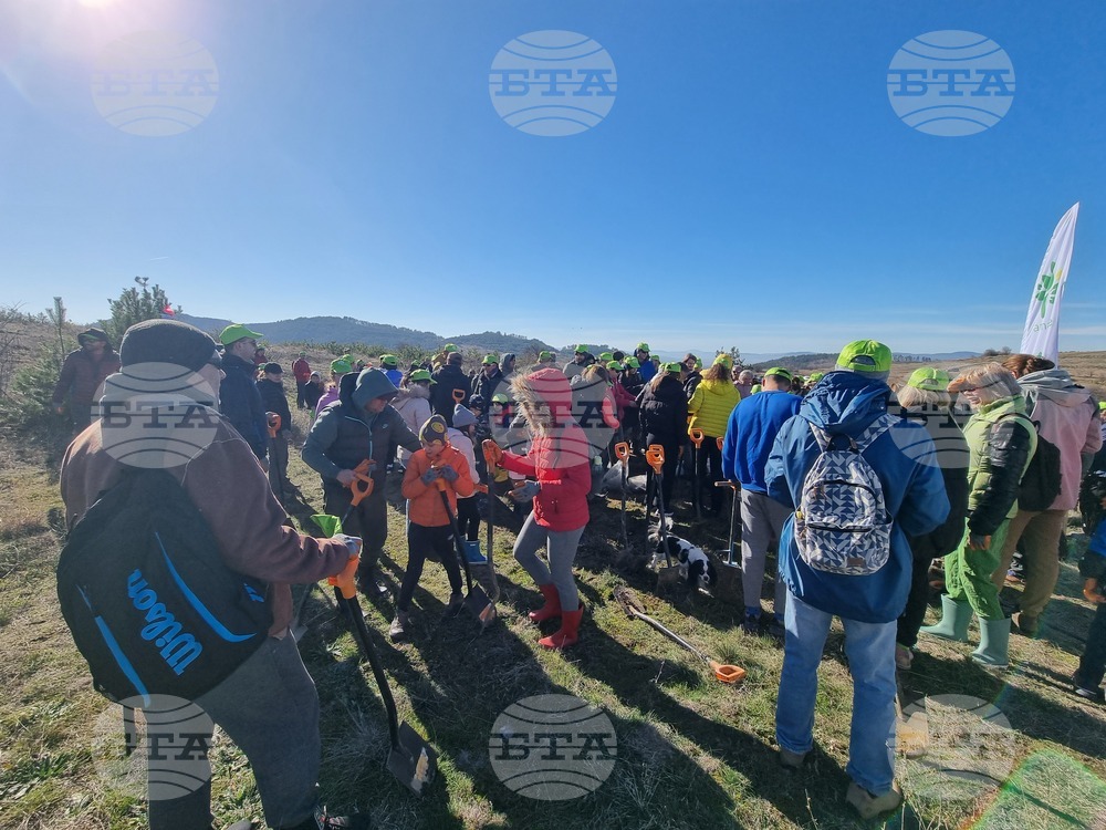 Бабица - „Гората на спомените“- залесяване