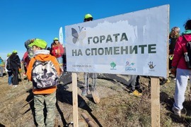 Бабица - „Гората на спомените“- залесяване