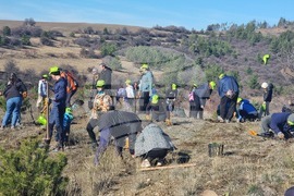 Бабица - „Гората на спомените“- залесяване