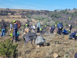 Бабица - „Гората на спомените“- залесяване