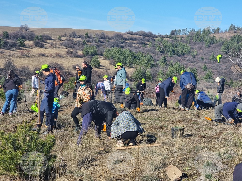Бабица - „Гората на спомените“- залесяване