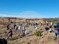 Бабица - „Гората на спомените“- залесяване