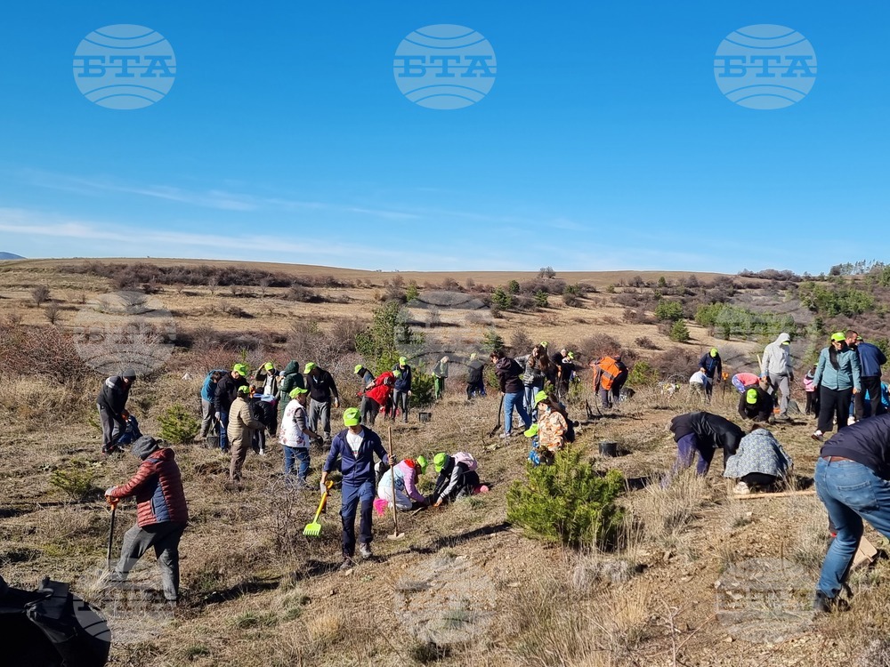 Бабица - „Гората на спомените“- залесяване