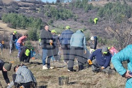 Бабица - „Гората на спомените“- залесяване